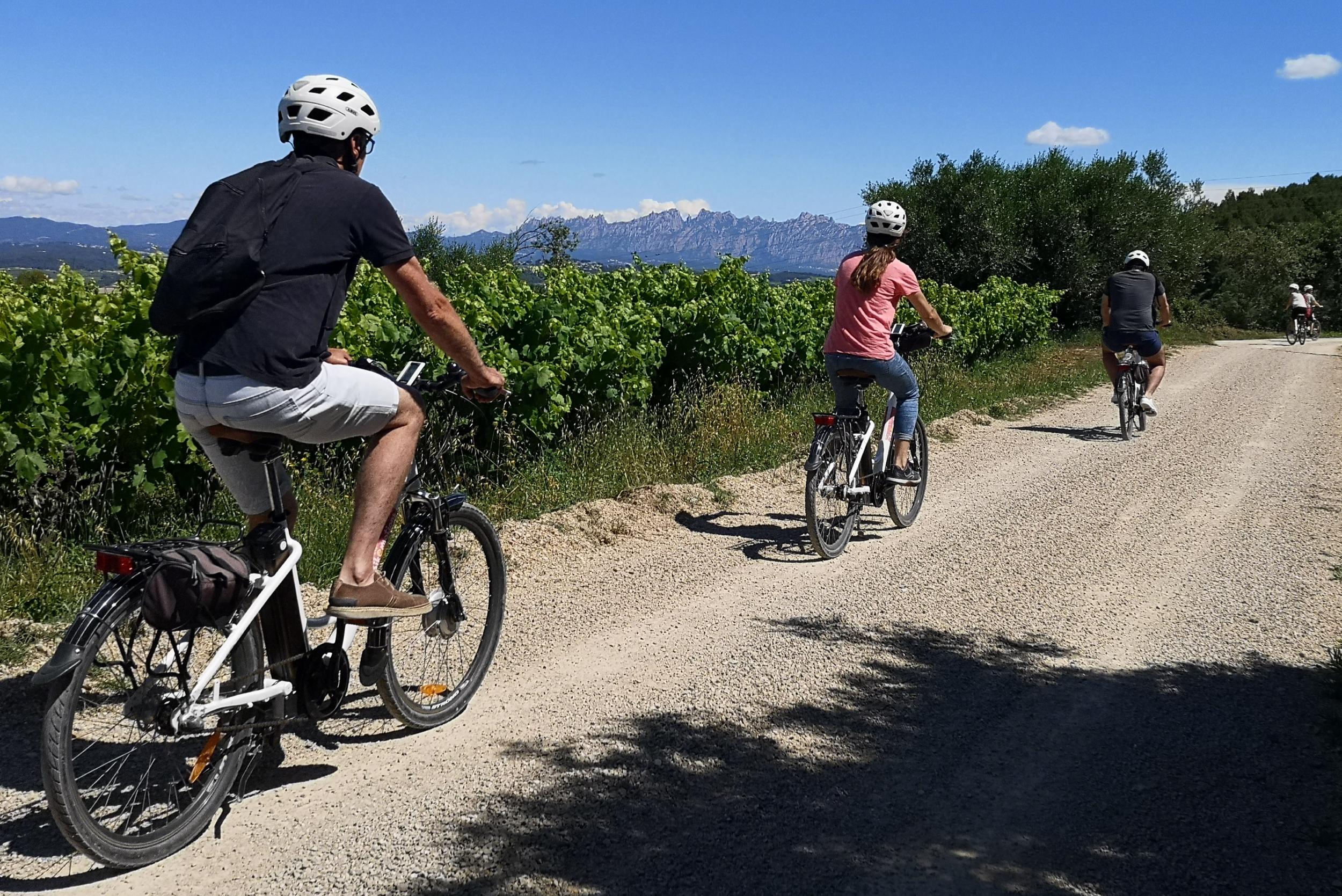 Bike & Visit· Pedalea y descubre una bodega del Penedès | Penedes Turisme