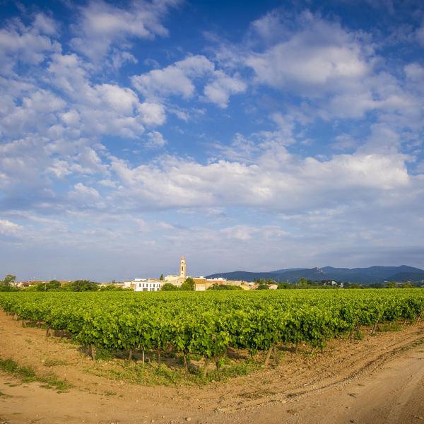 Castellví de la Marca