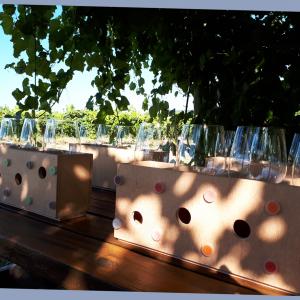 Guilera GASTROCAVA: cava, catas y aperitivos en nuestras terracitas con encanto entre viñedos.