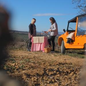 Safari Gastronòmic a les vinyes d'Albet i Noya i vermut musical de verema Safari Gastronòmic a les vinyes d'Albet i Noya i vermut musical de verema
