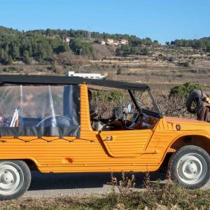Safari Gastronòmic a les vinyes d'Albet i Noya i vermut musical de verema Safari Gastronòmic a les vinyes d'Albet i Noya i vermut musical de verema