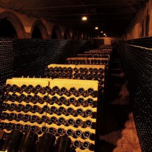Oriol Rossell Cava winery racks