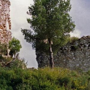 Runes del Castell de Subirats
