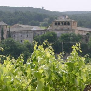 Castell de Penyafort Santa Margarida i els Monjos