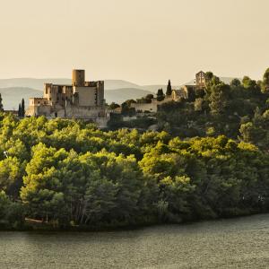 Castell de Castellet i entorn