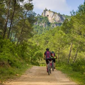 Senders i vies verdes per a ciclistes